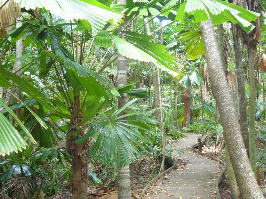 Port Douglas Retreat Bagian luar foto