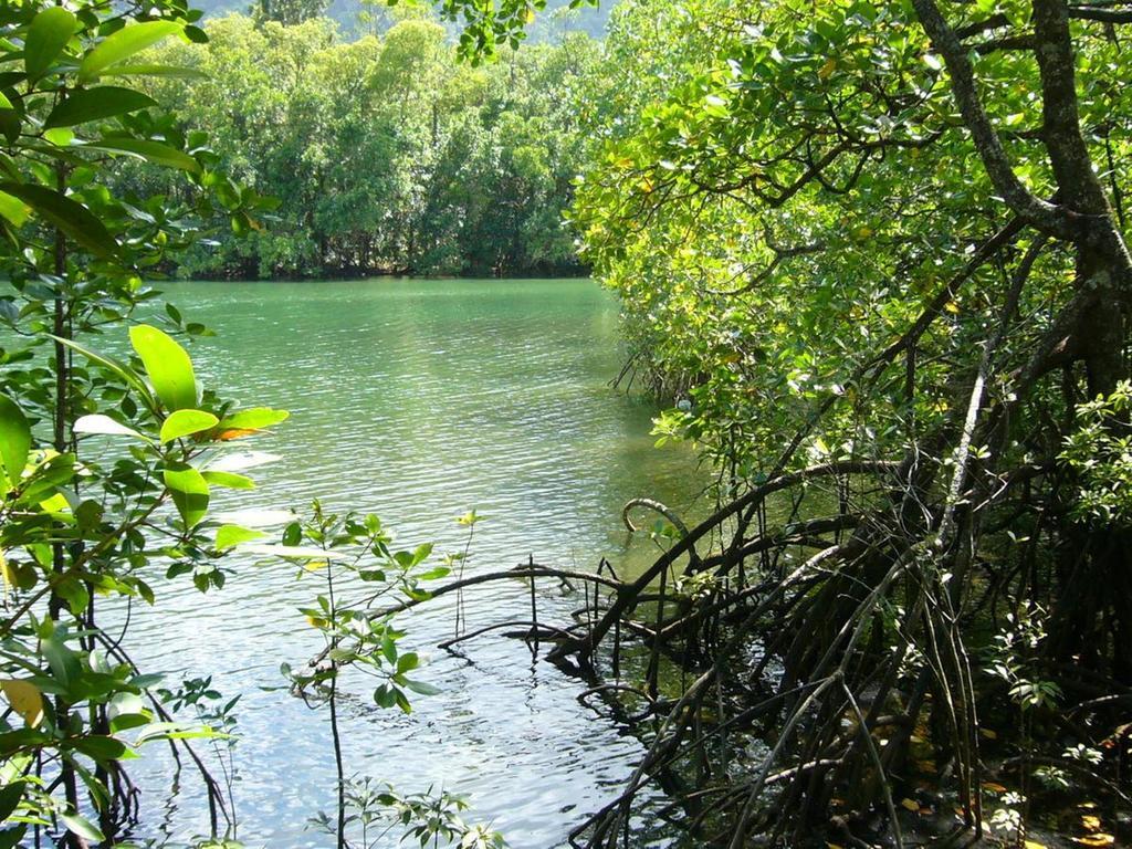 Port Douglas Retreat Bagian luar foto